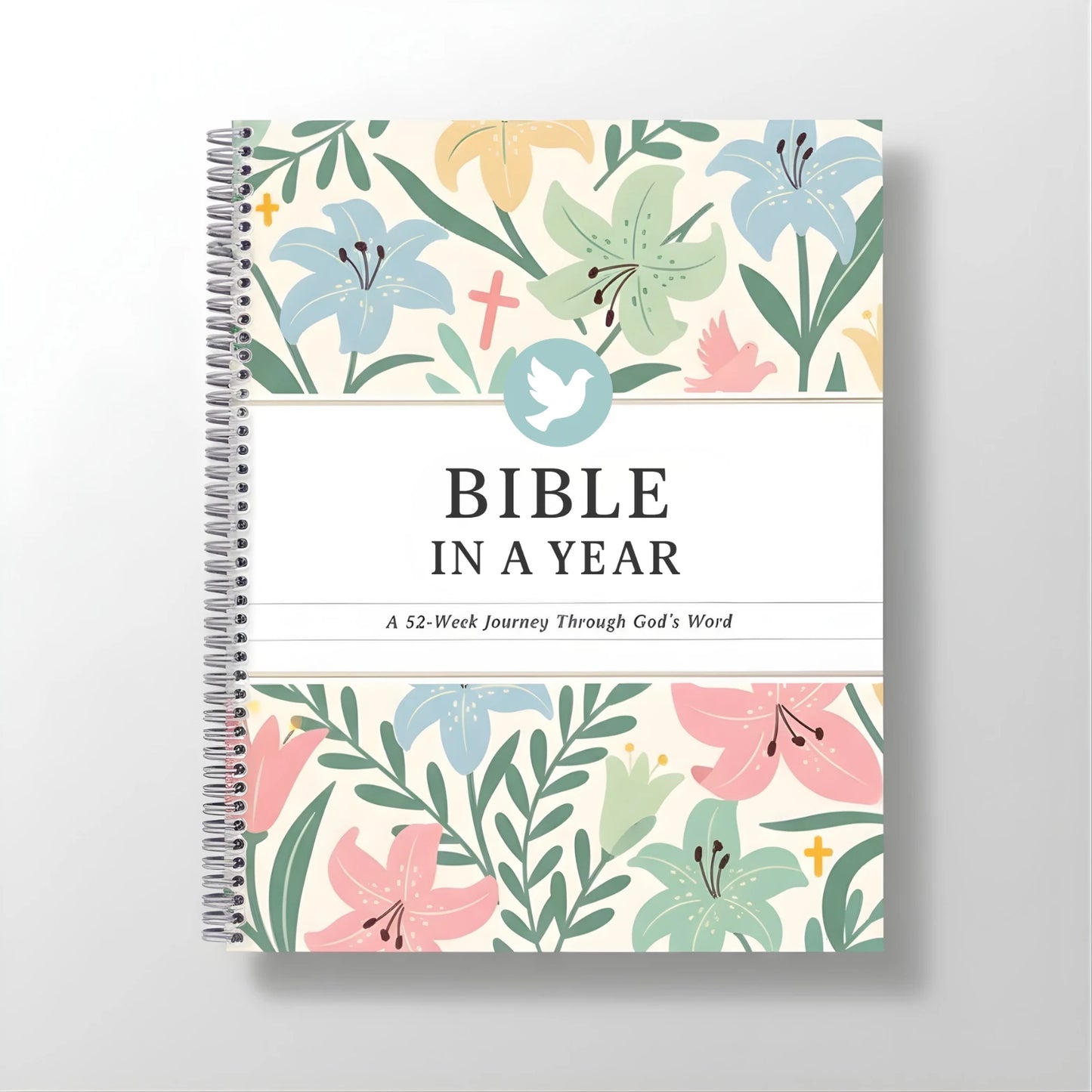 Bible In A Year